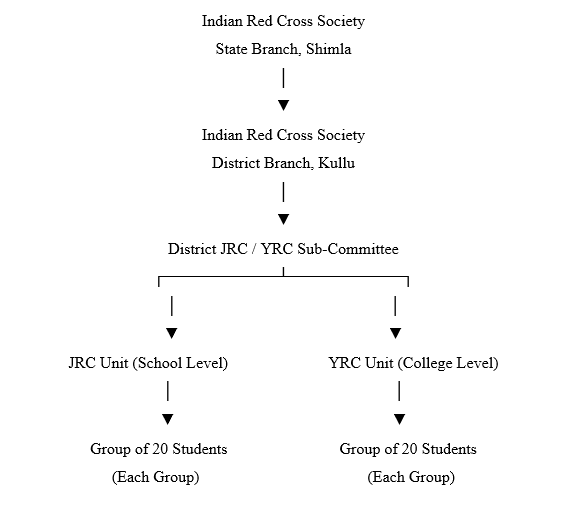 YRC Structure